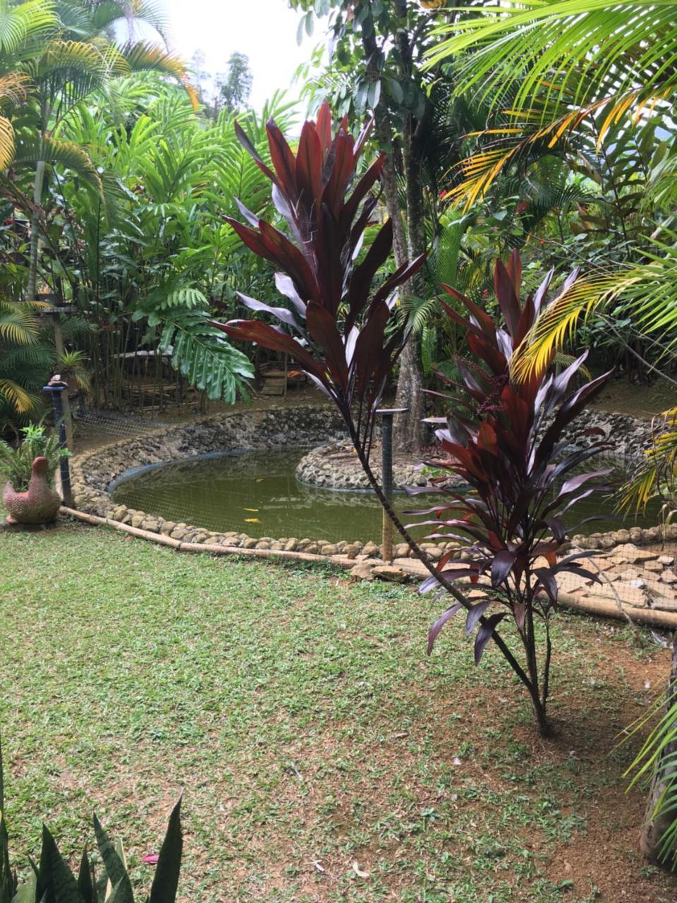 Hotel Green Ecológico La Vega  Buitenkant foto